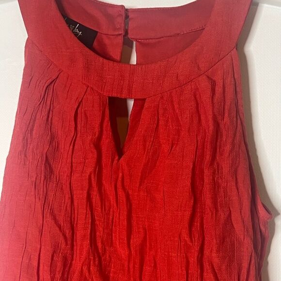 By &By Rust Mini Dress - Picture 7 of 8